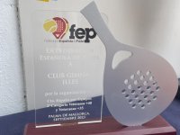 Campeonato de España por equipos veteranos de 2ª